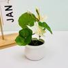 Lotus Plastic Potted Green Plant Potted Plant For Home Living Decor Room