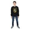 Harry Potter Boys Hufflepuff Sweatshirt