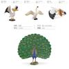 Peafowl Pvc Model With Realistic Detailing For Kids Educational Desktop Decor