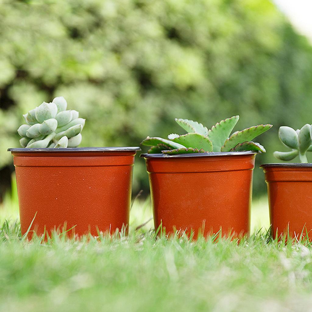 50Pcs Plastic Succulents Flower Pot Minimalist Design Desk Table Planter for Small Cacti Plants Home Garden Decorative Basin