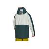 adidas Terrex Series Markenprint Kapuzen-Skijacke mit Reißverschluss Herrenjacke Grün HC7727