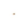 Calendar 2026 Fluffy Kitten (Month Flip/wall Hanging/420mm X 297mm) (Impress Calendar 2026)