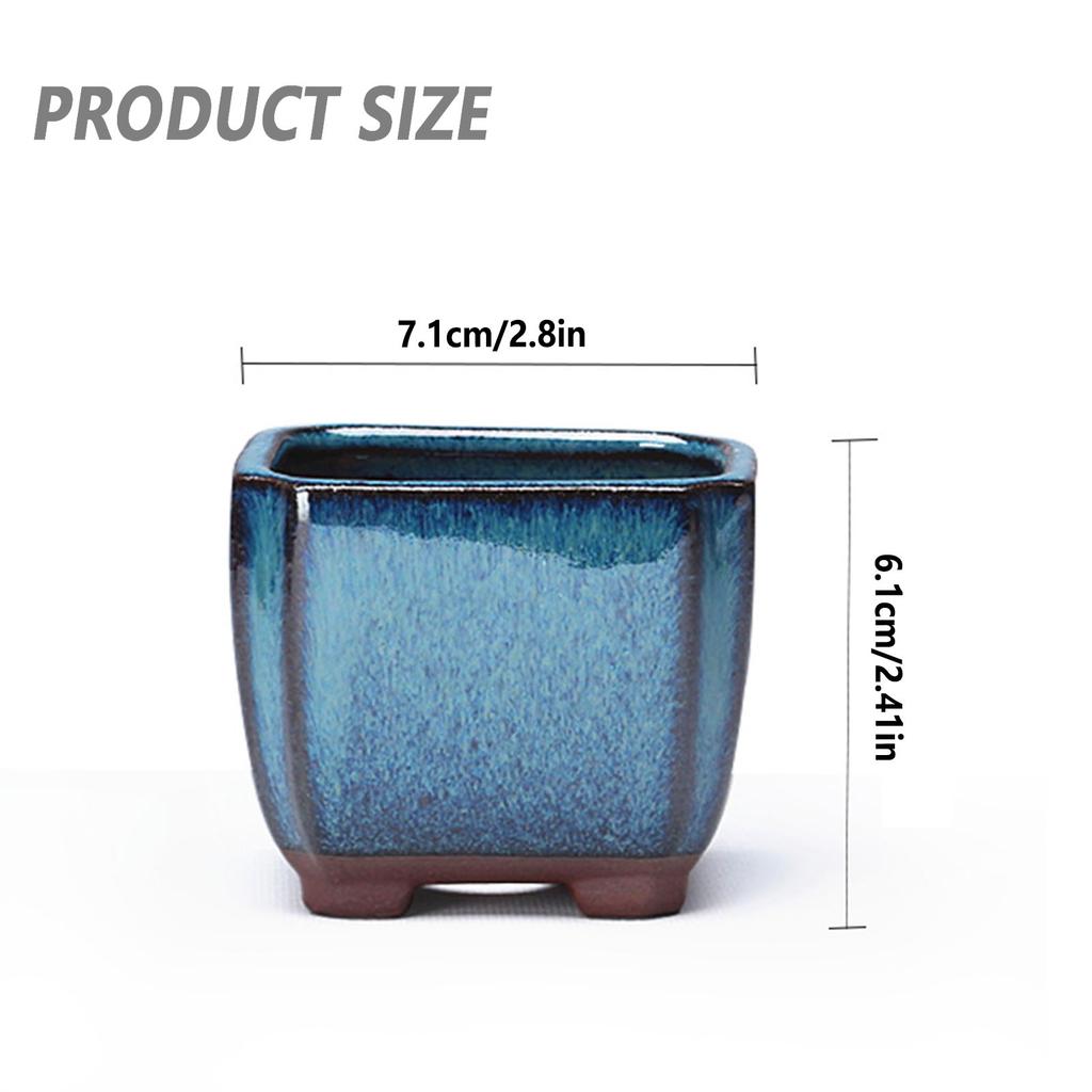 Vaso Ceramico per Piante Succulente con Design Ventilato Facile da per Piante da Interno ed Esterno