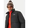 Куртка демисезонная Element Classic Puffer