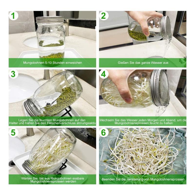 Organic Glass Wide Mouth Mason Jar Sprouting Kit 16 & 32oz Seed Germination Set with Stainless Steel Screen Lids