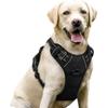 Köpek – Köpek Tasmaları ve Tasma Kayışları