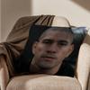 Weight category Alex Pereira Pillow Case Antidustmite Pillowcase Invisible zipper silky short plush Sofa cushion cover