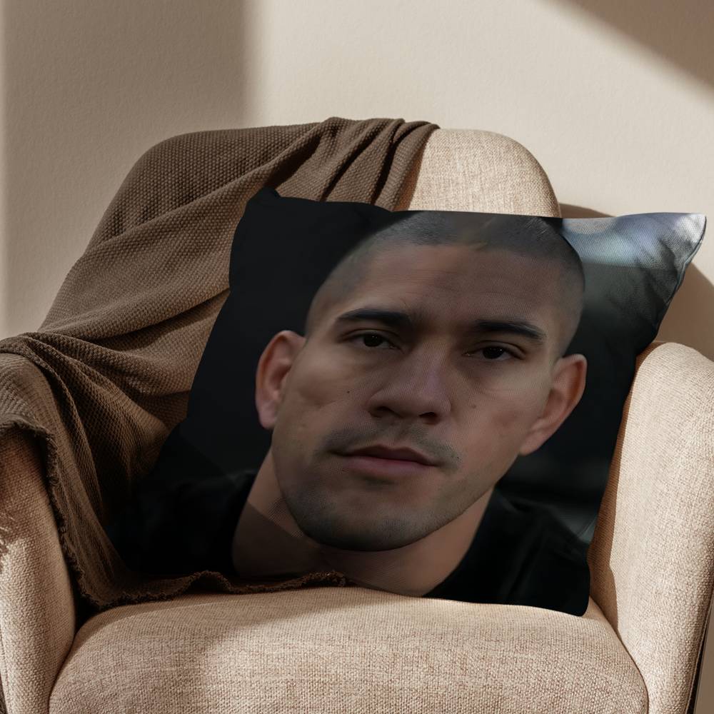 Weight category Alex Pereira Pillow Case Antidustmite Pillowcase Invisible zipper silky short plush Sofa cushion cover