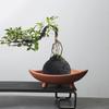 Creative Personality Wenzhu Special Ceramic Flower Pot Plant Indoor Micro Landscape Purple Sand Fortune Tree Potted Decoration