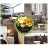 Artificial Wall Hanging Flower Planter Creative Round Modern Storage Shelf Basket Artificial Flowers Balcony Living Art Decor