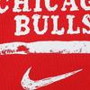 Nike Club AS Chi Mnk Hoodie Pullover Premium Men Hoodies IB2297-657