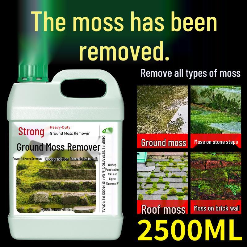 Eco-Pro Algae & Moss Remover for Cement Floors and Walls