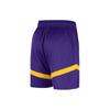 Nike Basketball Shorts Men's Dark Purple DZ3722-504
