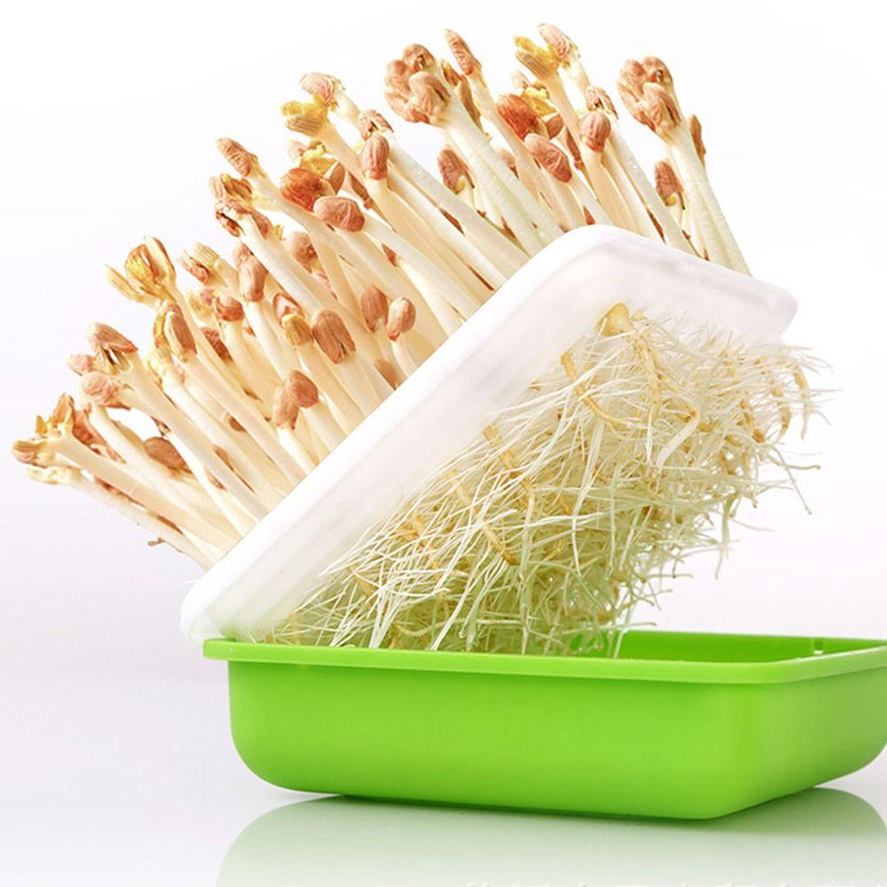 Multifunctional Bean Sprout Plant Hydroponic Peanut Seedling Tray Sprout Planting Box Garden Supplies Sprout Planting Pot