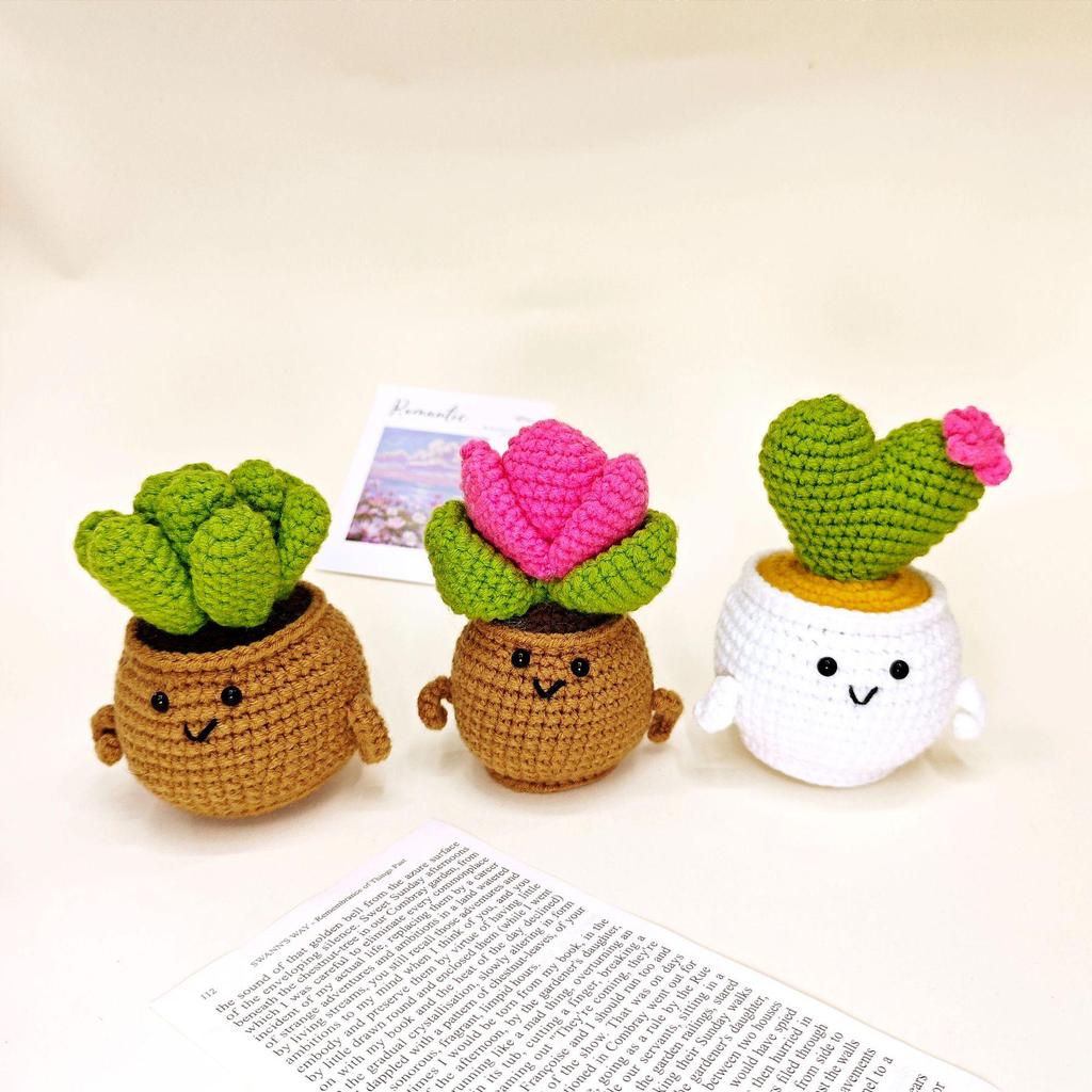 Tulip Cactus Heart Crochet Succulent Home Decor Plant