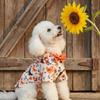 Fall Dog Shirt Chicken Print Pet Clothes with Bowtie Autumn Harvest Floral Puppy Thanksgiving Apparel for Small Medium Dogs Cats