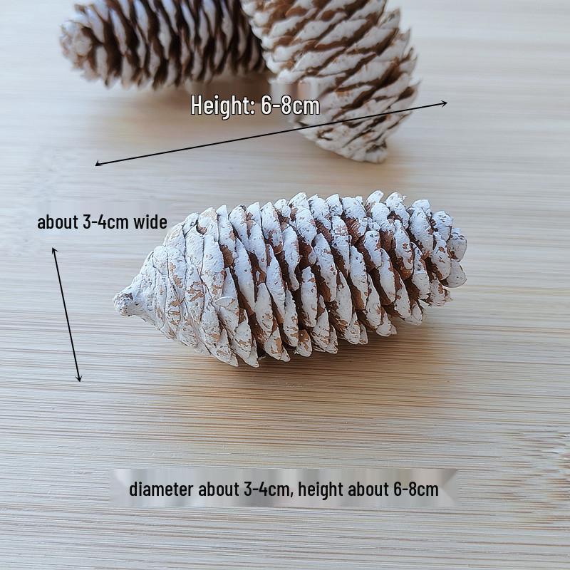 Natural Dried Fruit Wood Slices & Pine Acorn Christmas Decor Materials for Photography Backgrounds
