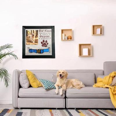 Hund Katzen Gedenkrahmen Bester Freund Kommen In Unser Leben 9x9Zoll Foto Bilderrahmen mit Halsbandhalter Sympathiegeschenk