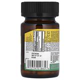 DHEA, 10 mg, 50 Vegan Capsules