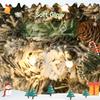 60cm/ 24inch Flocked Prelit Christmas Wreath