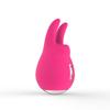 USB Rechargeable Clitoral Vibrator & Breast Massager for Instant Pleasure