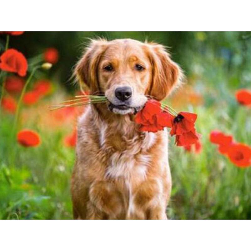 Dog DIY 5D Diamond Painting Dog Full Round Rhinestones Animal Diamond Embroidery Cross Stitch Kit Handmade Gift Home Decor