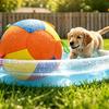 Wear Resistant Giant Herding Ball Tear-Resistant Dog Training Ball Interactive Dog Toy  Training