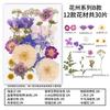 Natural Dried Flowers Pack For Diy Resin Pressed Flower Art
