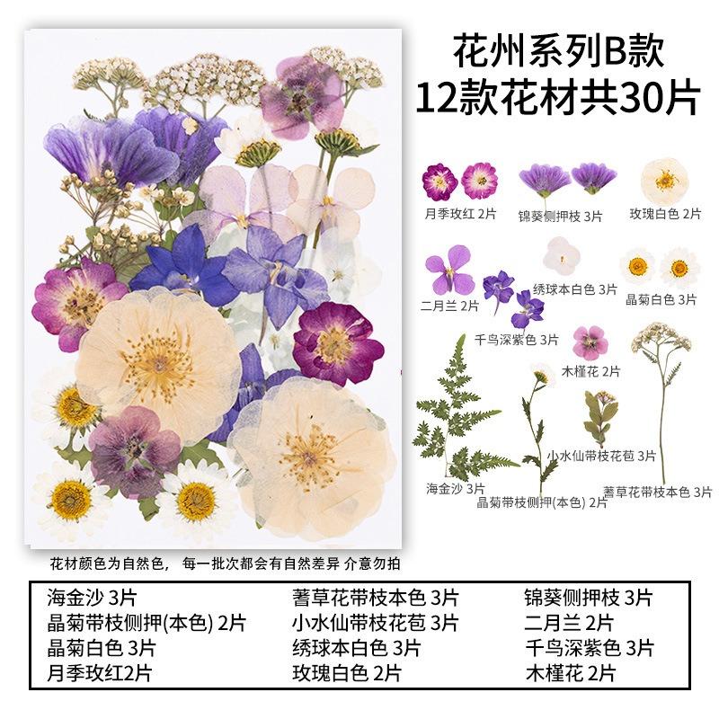 Natural Dried Flowers Pack For Diy Resin Pressed Flower Art