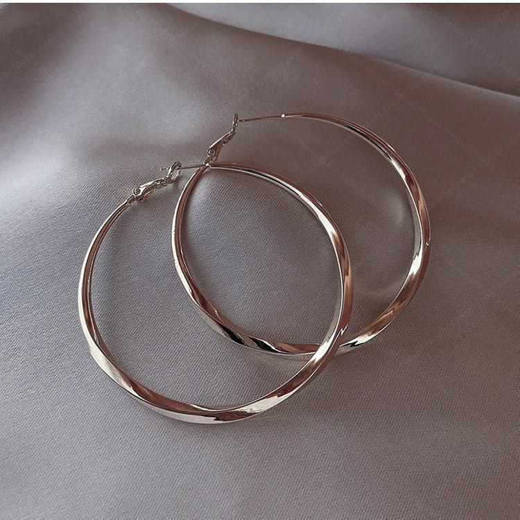 Women's Silver Hoop Earrings: Light Luxury 2024 Exaggerated Niche Style