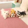 Kawaii Perro Famoso Corgi Husky Simulación Premium Pomerania Juguete de Peluche Lindo Relleno Suave Modelo Cachorro Muñecos Dibujos Animados para Regalos de Niños