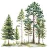 Watercolor Pine Cedar Pine Bedroom Living Room Background Landscaping Decorative Wall Stickers