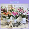 Phalaenopsis Plastic Potted Plants For Home Decoration And Props Photography