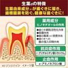 [2 pieces] Fresh Leaf Medicinal Toothpaste to Prevent Periodontitis, Japanese Herbal Flavor, 100g x 2 pieces