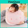 Plush Pillow With Soft Plush Filling For Kids And Teens Gift