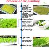 36 Planting Sites Garden Plant Vegetable Planting Grow Box Deep Water Culture System 4 Layers Horizontal Hydroponic Grow Kit Set