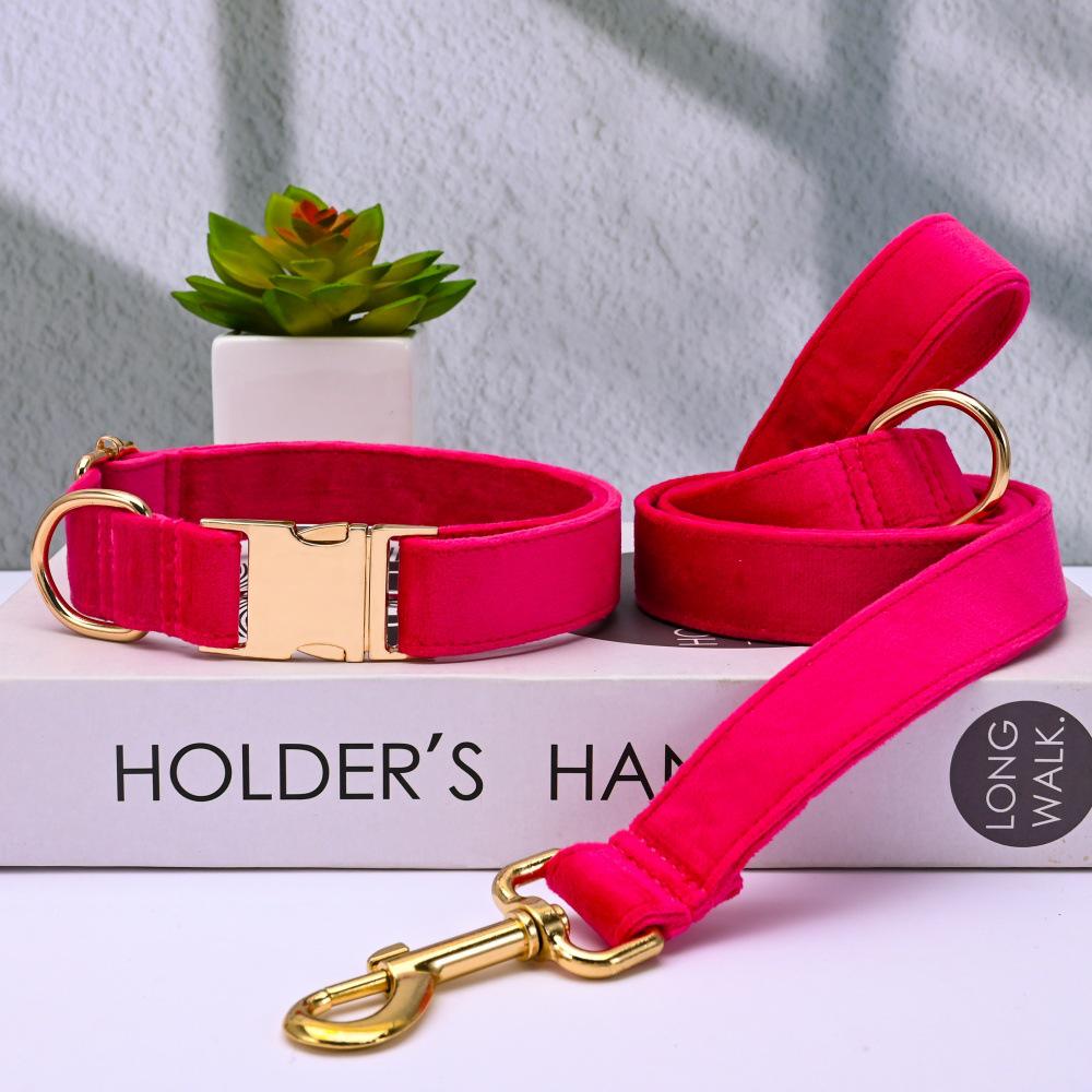 Ensemble collier et laisse pour chien en velours gravé avec boucle métallique réglable