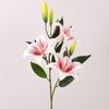 80cm Silk Lilium Brownii Flower Plastic Fake Flowers Artificial Flower Branch  Wedding Decor