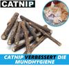 CATNIP Matatabi Chew Sticks Cats Wood Catnip Catnip Dental Care Teeth 20pcs