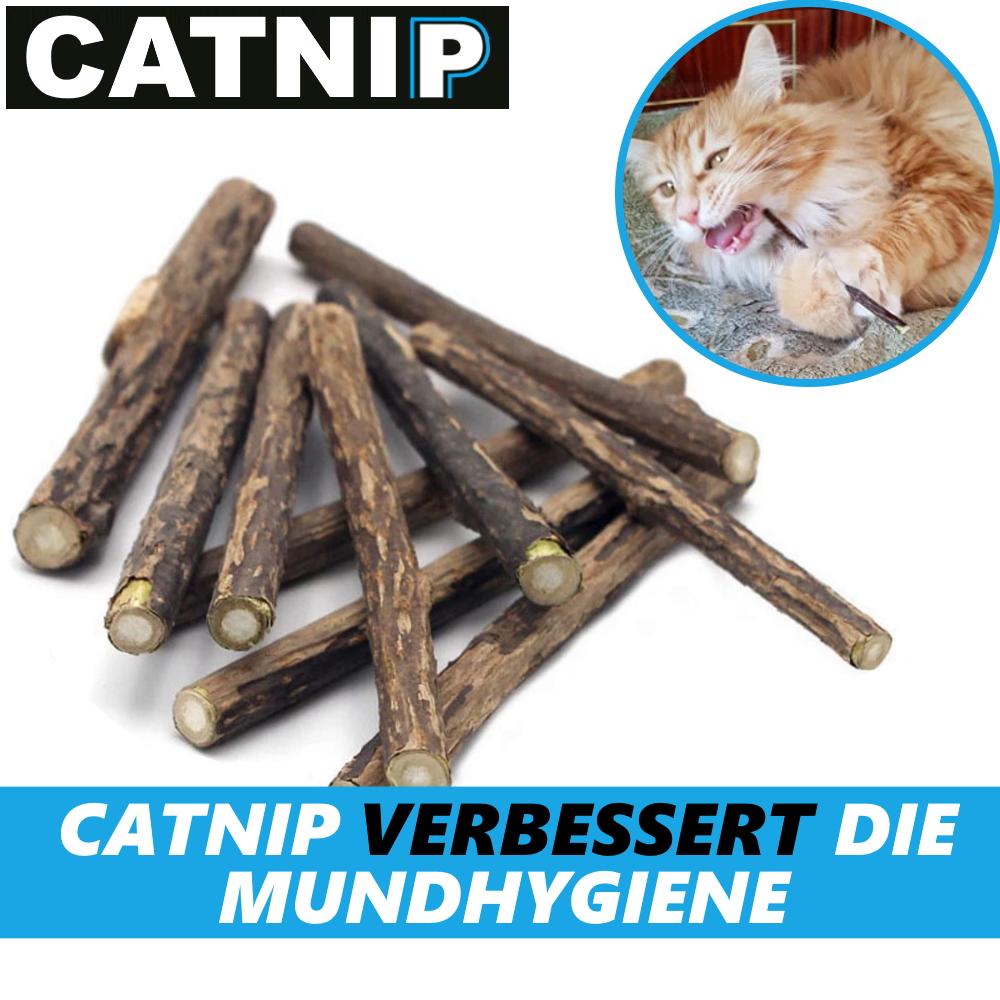 CATNIP Matatabi Chew Sticks Cats Wood Catnip Catnip Dental Care Teeth 20pcs