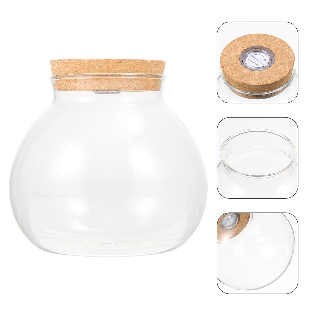 Pot met deksel Landschap Fles Micro Ambachten Doe-het-zelf Borosilicaatglas Ecologisch Mos Eenvoudige Plant Terrarium Landschapsinrichting Wit