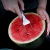 2-in-1 Watermelon Fork Slicers, Watermelon Cutter Summer Fruit Cutting Fork  Head Fruit Forks Knife