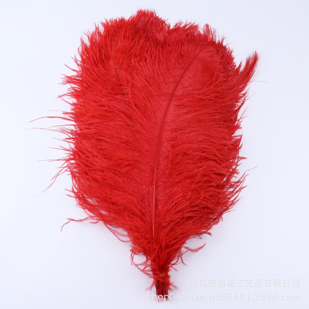 45-50Cm South African Ostrich Hair Modern Feather Lamp Wedding Stage Decoration High Quality Ostrich Hair