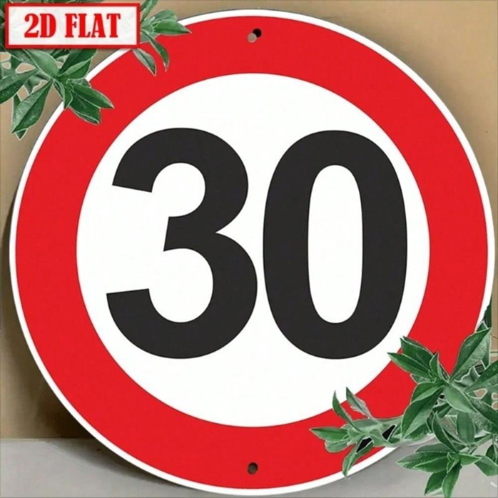 30 Km/h Speed Limit Metal Tin Sign, Aluminum Wall Art Poster for School