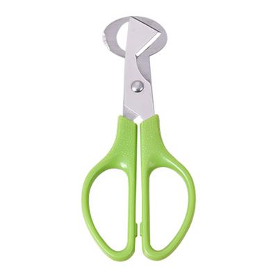 Quail Egg Scissors with Non-Slip Handle Egg Shell Cutter Stainless Steel Blade Egg Cutter Shears Easy Clean Kitchen Tool for Precise Cutting