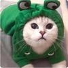 Dog Frog Shape Hoodies Pet Dog Cat Coats Winter Warm Cosplay Costume Pet Clothes Hooded Sweatshirt Suitable for S/M/L Dogs