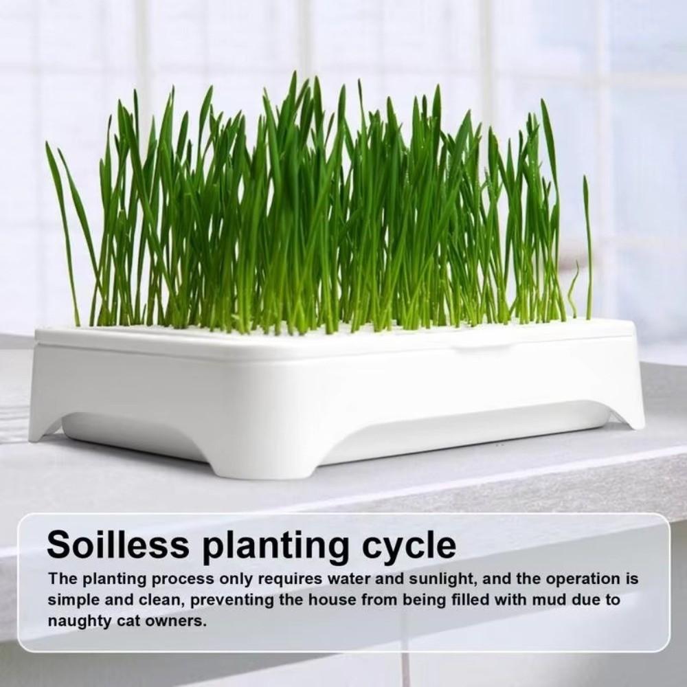 Anti-Pull Out Cat Grass Planter Self-planted Tray Wheat Seedling Pot Growth Planter Indoor Growing