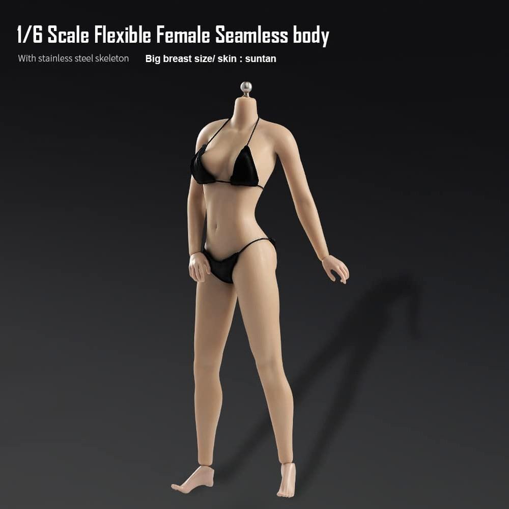 Fremego 1/6 Scale Female Action Figure Body Tan Skin Large Chest 12-Inch Model Set Human Toy for 1/6 Head Carving Beautiful Head Sculpt