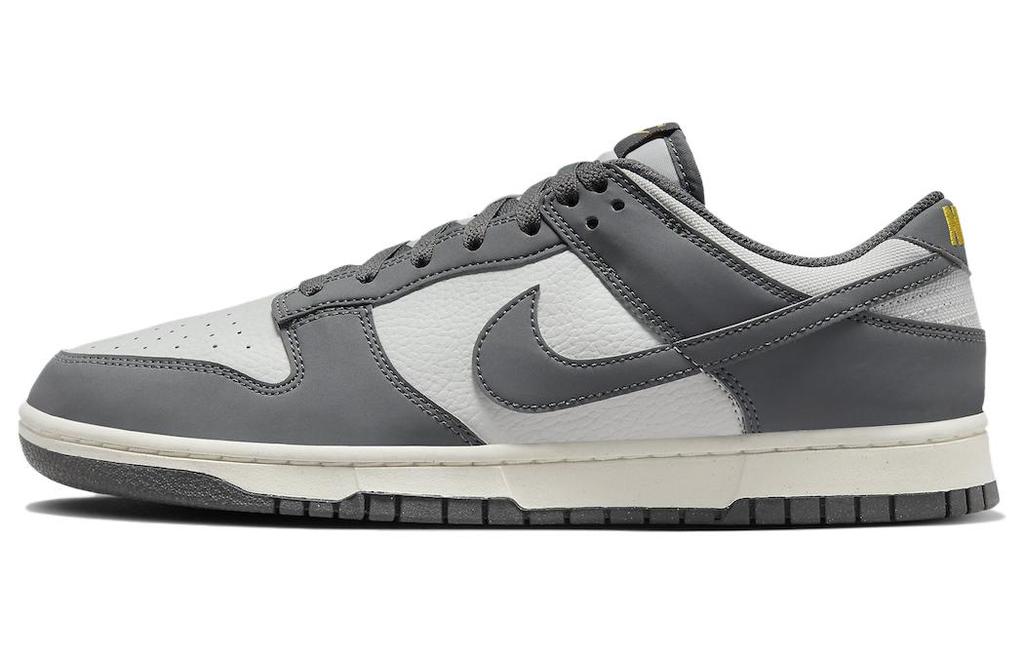 Nike Dunk Low Next Nature Cinza Ferro FZ4621-001