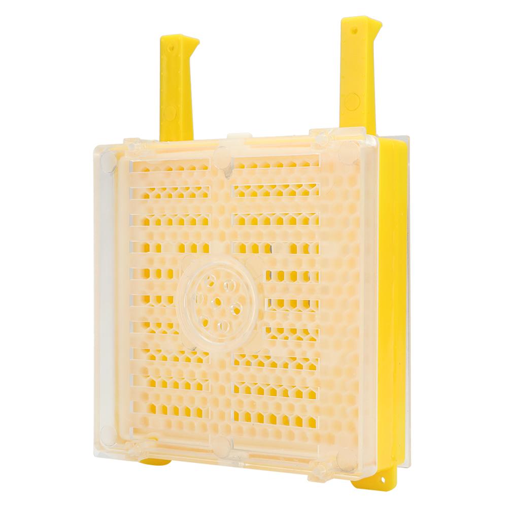 Plastic Rearing Bee Breeding Kit Cage Marking Bottle Beekeeping Accessories for Beekeeping Worker